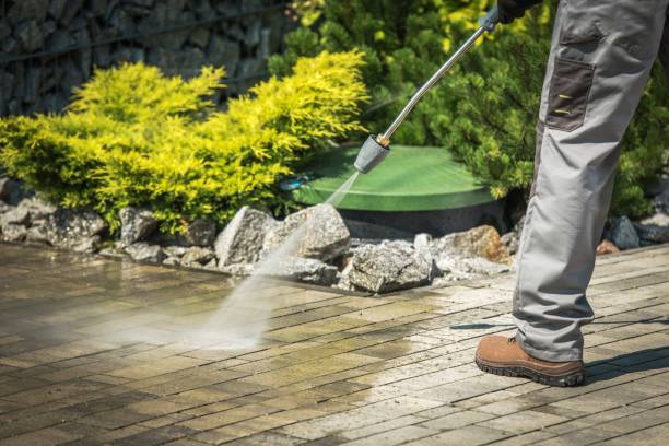 Best Solar Panel Cleaning  in Pinewood, FL