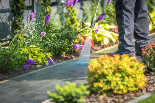 Professional Pressure Washing Services in Pinewood, FL